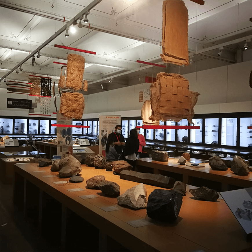 Fête de la science 2020 au Muséum d'histoire Naturelle de Nantes par Menu Détail