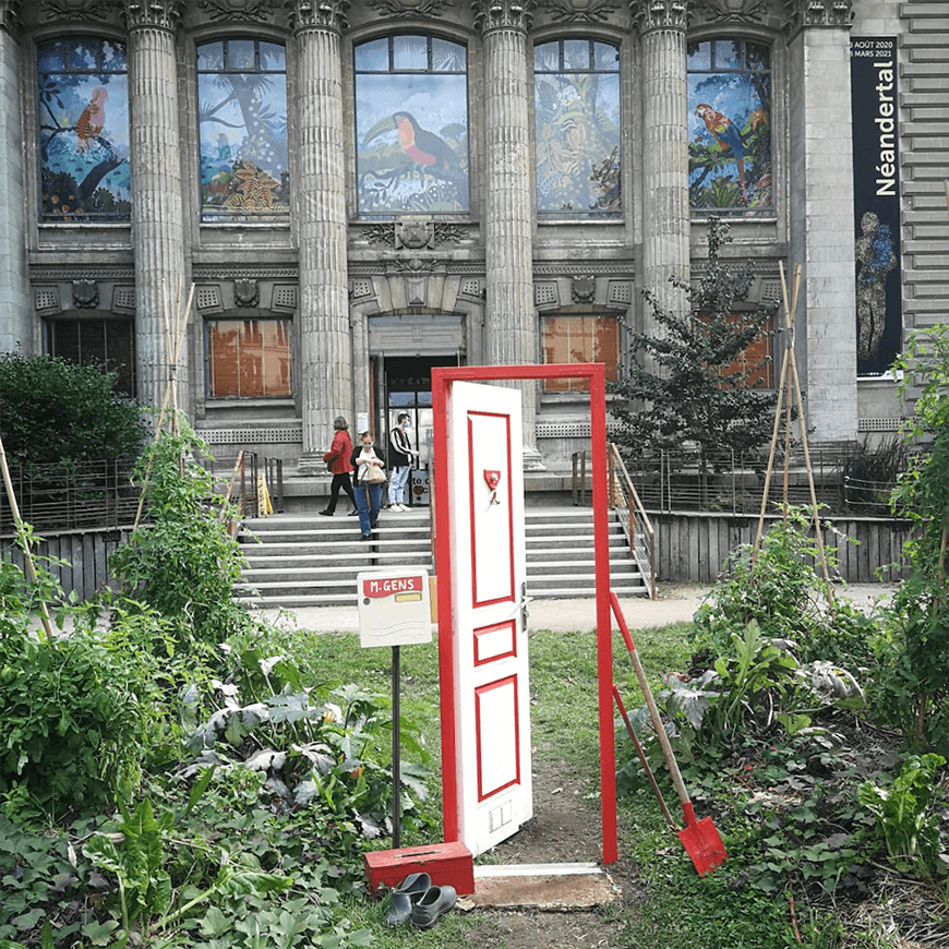 Fête de la science 2020 au Muséum d'histoire Naturelle de Nantes par Menu Détail