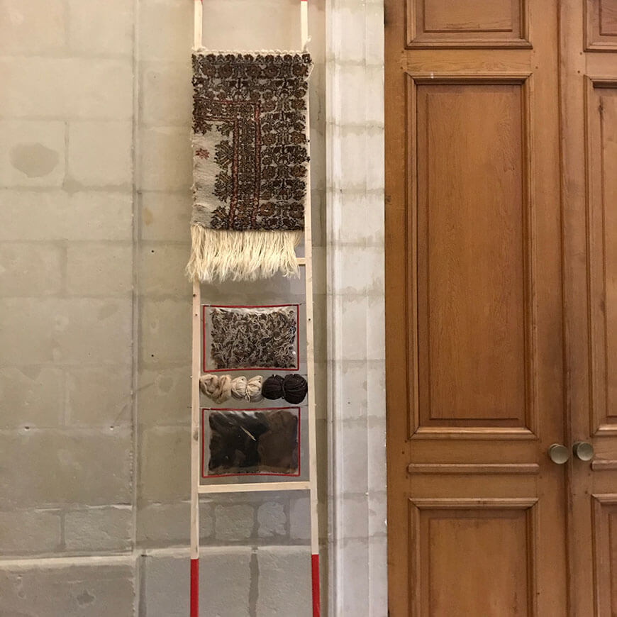 Fête de la science 2020 au Muséum d'histoire Naturelle de Nantes par Menu Détail