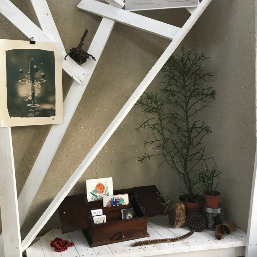 Cabinet de curiosité collectif Serres